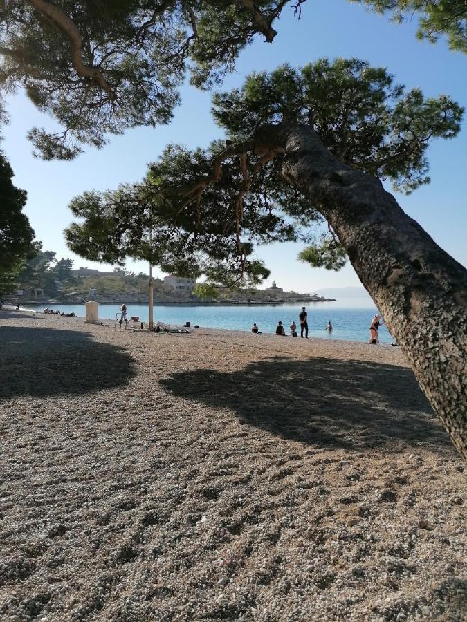 APARTMAN LAURA GALILEO Centar grada Makarska Exterior foto